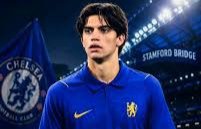 Chelsea-Liverpool Punya Benteng Pertahanan Baru: Marco Palestra dan Jeremy Jacquet