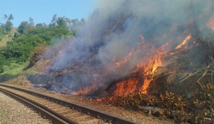 Aktivitas Ini Sederhana, Tapi Bisa Fatal Bagi Perjalanan Kereta, KAI: Jangan Lakukan !