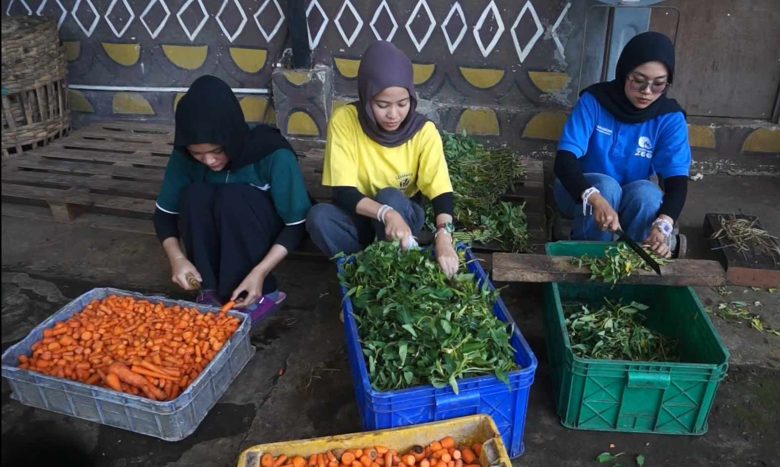 Pengelolaan Satwa di Bandung Zoo Tetap Optimal, Pakan Rp15 Juta per Hari Terpenuhi