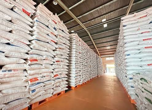 Stok Beras Berlimpah, Bulog Beraksi Lagi: Salurkan Bantuan Pangan, Apa Kata Kepala Bapanas?