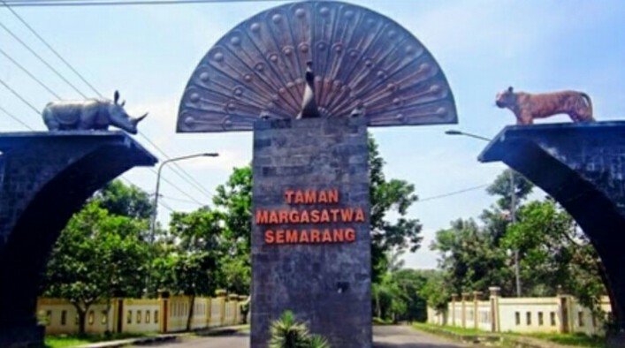 Dampak Covid-19, Kebun Binatang Semarang Dalam Kondisi Kritis